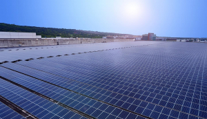 �����辧�cDUOBAO�����پW�y�֑��Ժ���