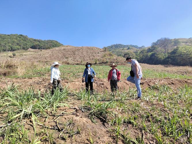 云南田野調(diào)查初體驗(yàn) 探索未知的興奮與收獲中的土地整理